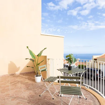 Live Acoran Flamboyan Santa Cruz de Tenerife