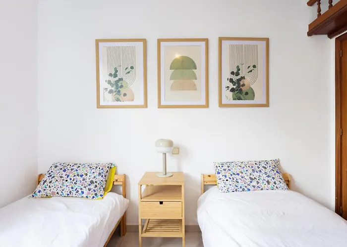 Live Acoran Flamboyan Santa-Cruz de Ténérife